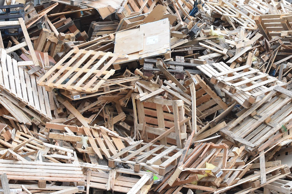 Where-Does-Wood-Go-Find-Out-What-Happens-to-Torontos-Urban-Wood-Waste