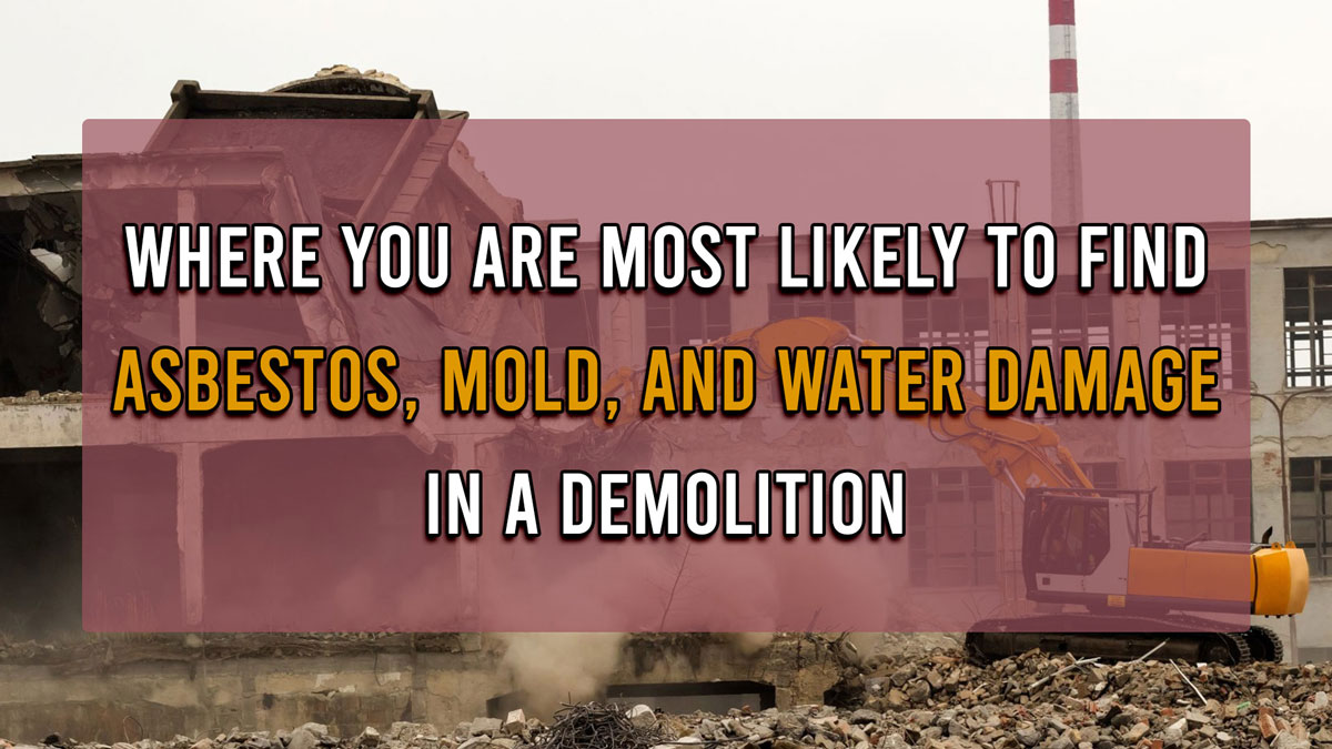 Where-You-Are-Most-Likely-to-Find-Asbestos-Mold-and-Water-Damage-in-a-Demolition